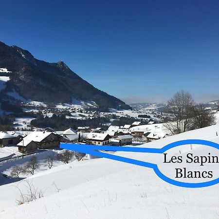 Les Sapins Blancs Apartment Vacheresse ภายนอก รูปภาพ