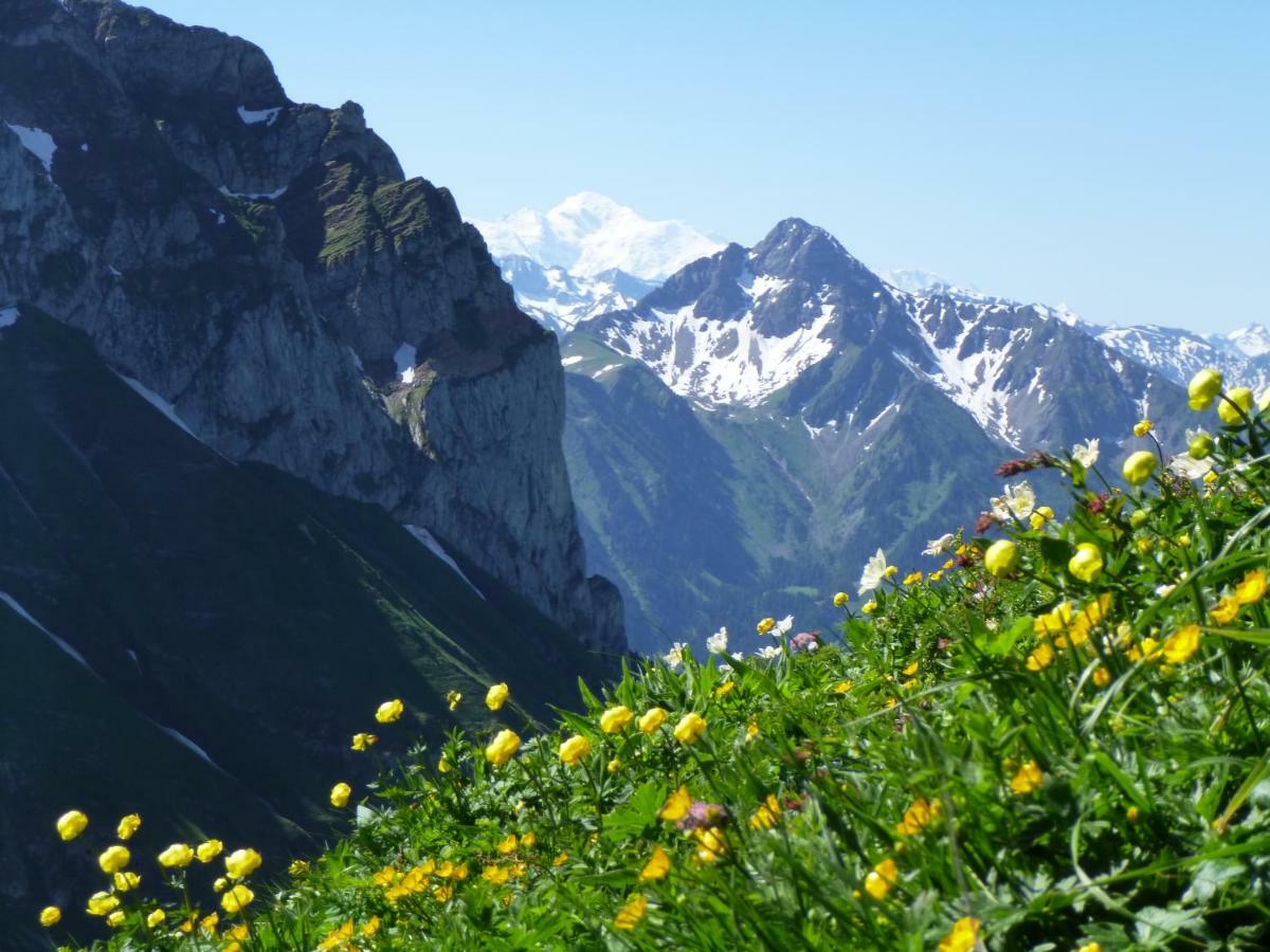 Les Sapins Blancs Apartment Vacheresse ภายนอก รูปภาพ