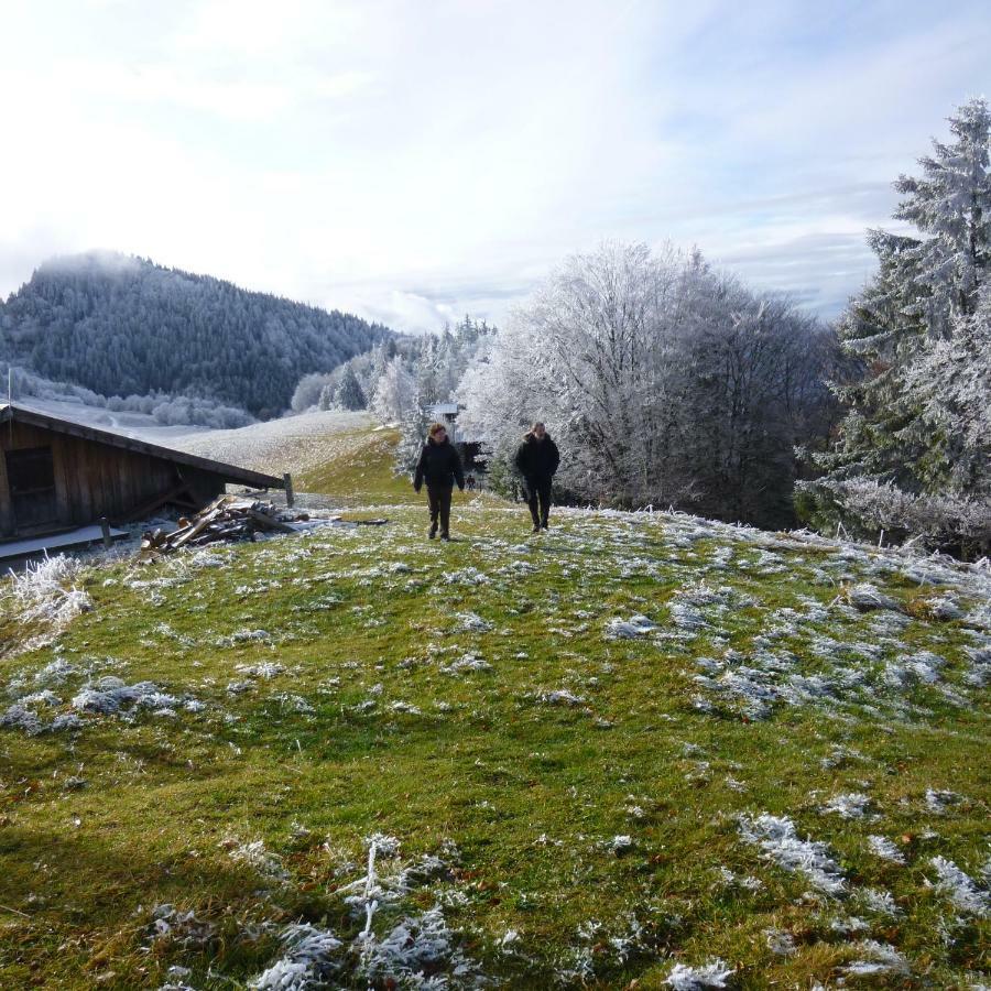 Les Sapins Blancs Apartment Vacheresse ภายนอก รูปภาพ