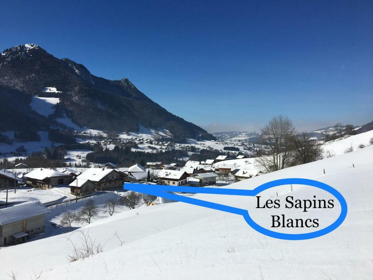 Les Sapins Blancs Apartment Vacheresse ภายนอก รูปภาพ