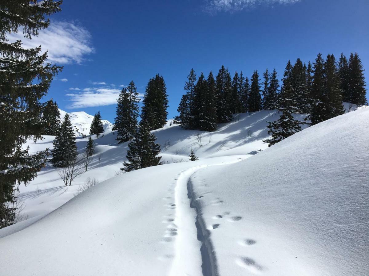 Les Sapins Blancs Apartment Vacheresse ภายนอก รูปภาพ